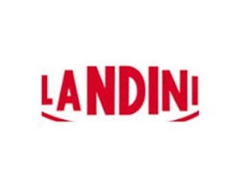 BAJO TEJA CURVA/MIXTA LANDINI 250X98 mm