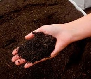 BIG BAG COMPOST 1000 Kgs
